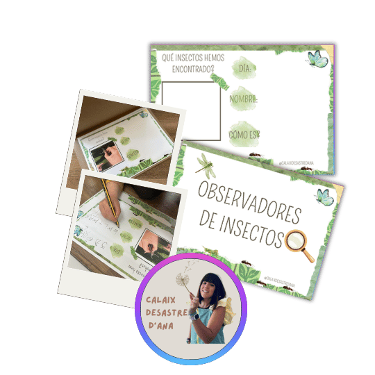 021.1. Inventario de insectos