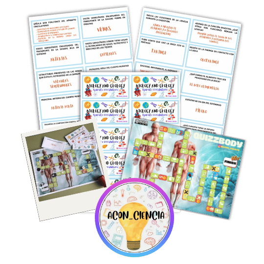 026.5. QuizzBody