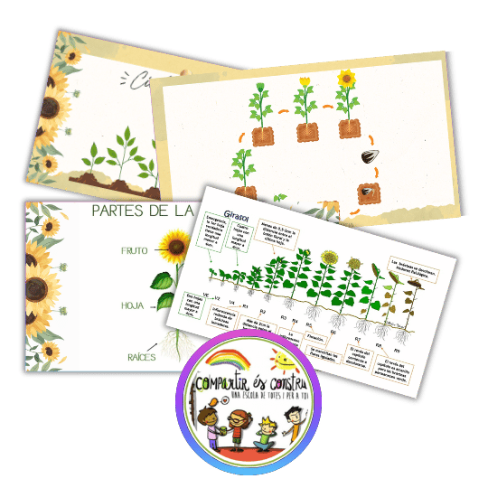053.3. Situación de aprendizaje - La vida de un girasol