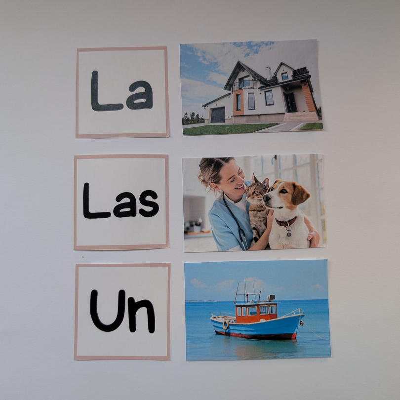 Juego gramatical para trabajar la concordancia entre artículos y sustantivos en educación infantil y primaria.