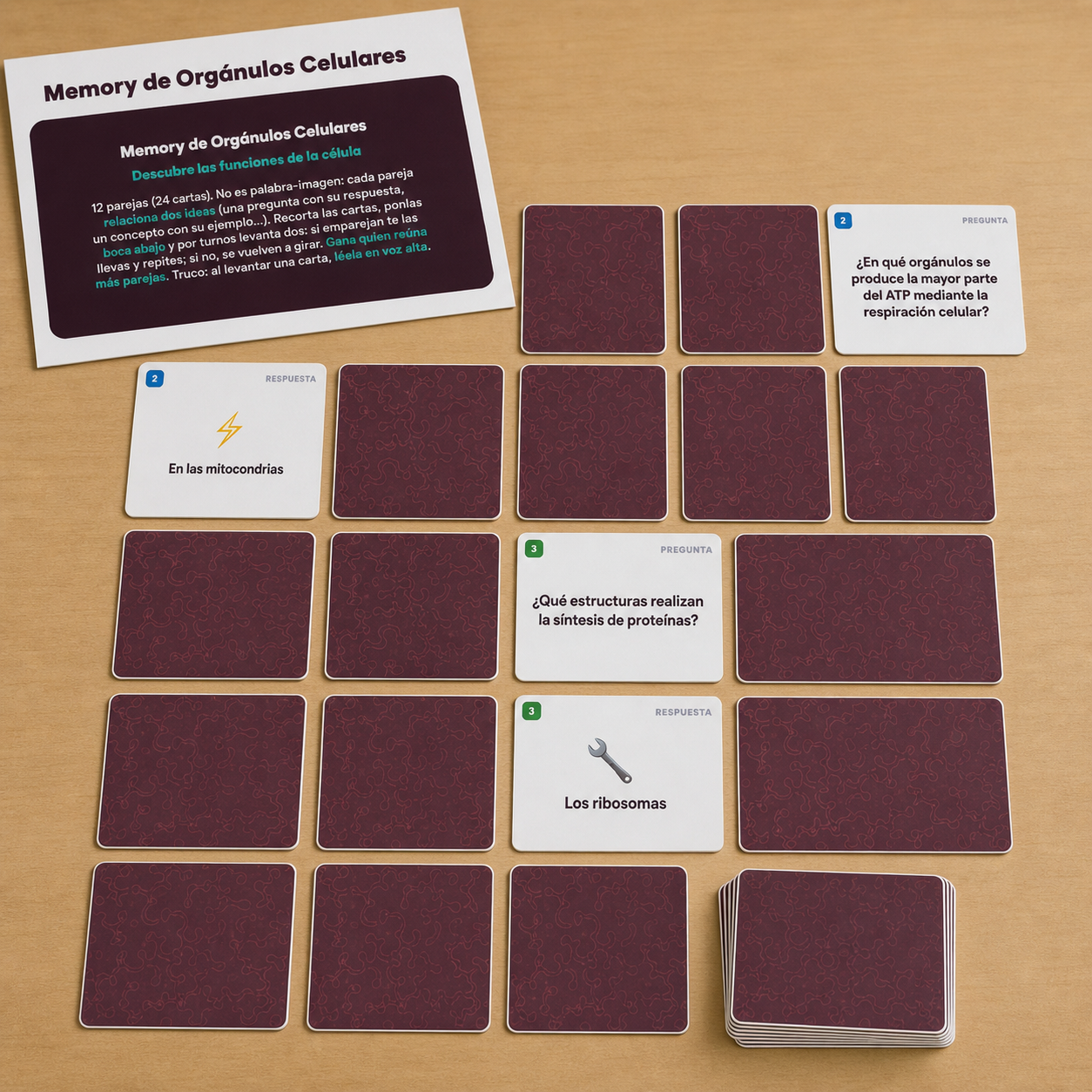 Memory imprimible de Biología para 1.º de ESO con 24 cartas que relacionan orgánulos celulares y funciones en células animales y vegetales.